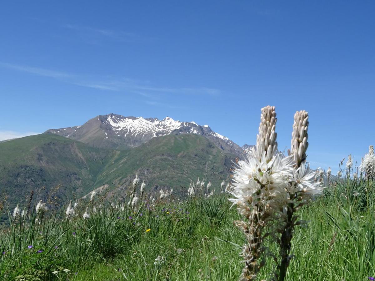 L'Ansloboys Montagne A2 Διαμέρισμα Λε Ντεζ Αλπ Εξωτερικό φωτογραφία