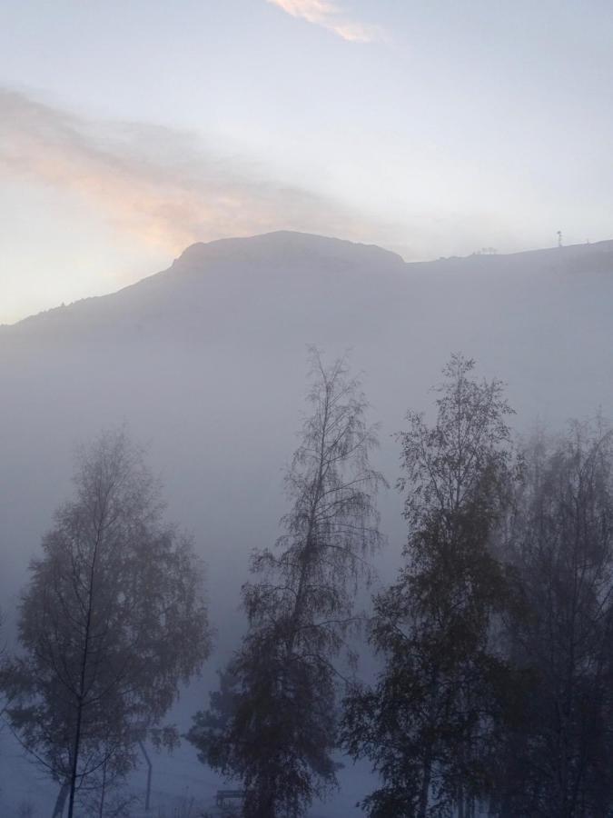 L'Ansloboys Montagne A2 Διαμέρισμα Λε Ντεζ Αλπ Εξωτερικό φωτογραφία