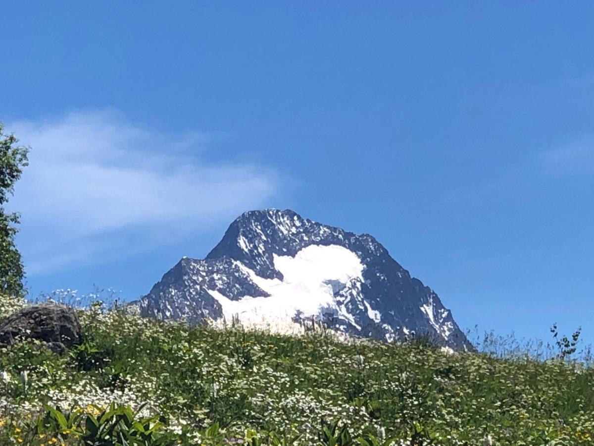 L'Ansloboys Montagne A2 Διαμέρισμα Λε Ντεζ Αλπ Εξωτερικό φωτογραφία